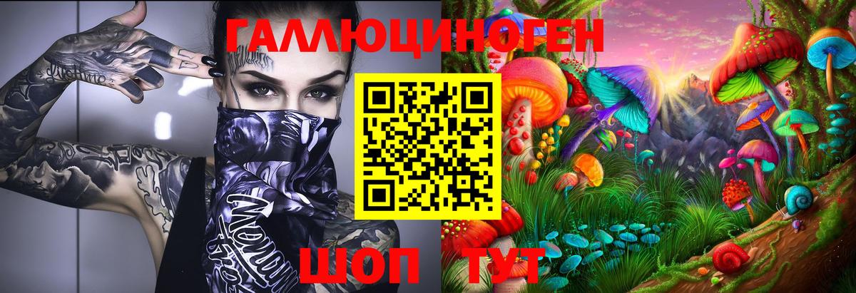 Галлюциногенные грибы Psilocybe  Галлюциногенные грибы Psilocybine cubensis  Петрозаводск  Вход с VPN 