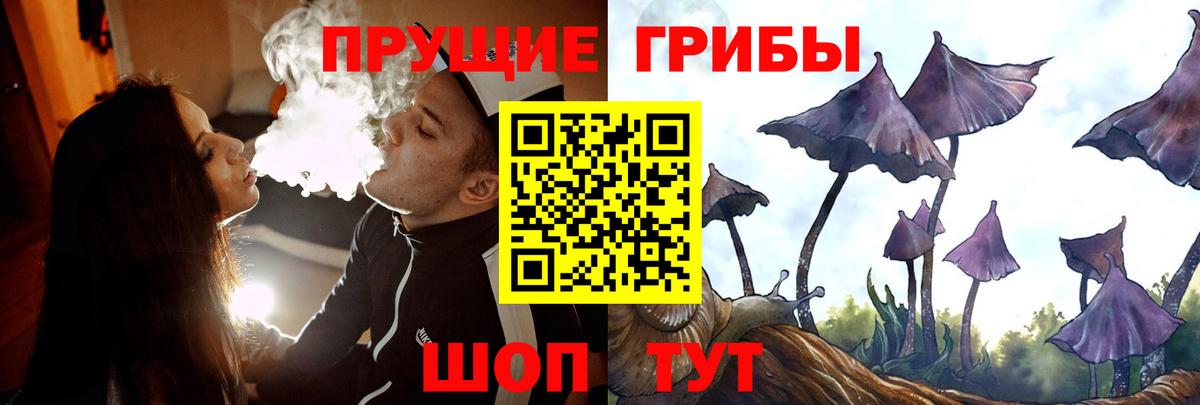 Псилоцибиновые грибы мухоморы Петрозаводск
